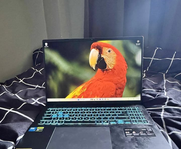 ASUS V16 screen colour production test with bright tones and balanced contrast
